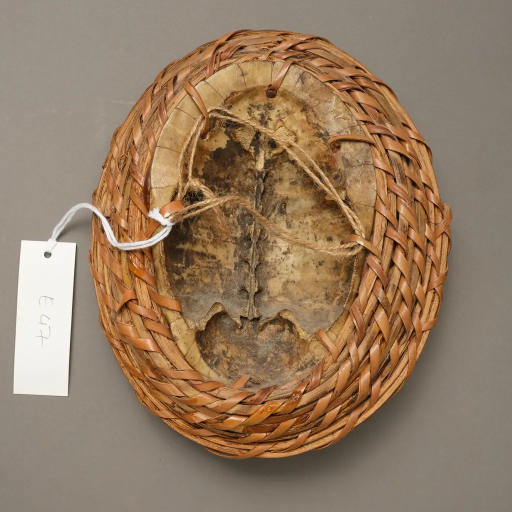 Papua New Guinean mask, Image 1++